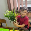 Image00007