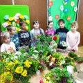 Image00011