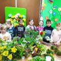 Image00012