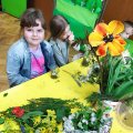 Image00033