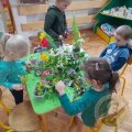 1_Image00001