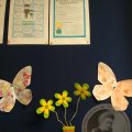 Image00005