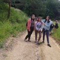 Picture00011
