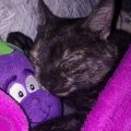 Picture00018