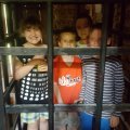 Picture00005