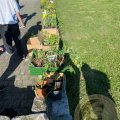 Image00007